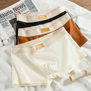 {NT[pc Y R ʋC z K ȍ ~hEGXg X|[c Vv n jp A_[EFA I[V[Y(x2)