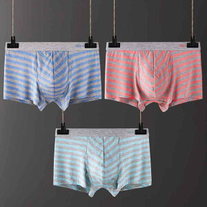 Y pc ʋC  _[ J[hRbg ~hEGXg U̍\ XgCv {NT[pc I[V[Y K Ci[(x3)