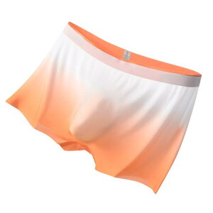 {NT[pc Y ڐG⊴  ʋC V[X D ̐݌v Of[V ꖇd |GXef ~hEGXg n tďH