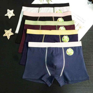 {NT[pc Y ȍf ʋCQ Lk LEGXgoh n ~hEGXg I[V[Y ҕ100% ig(x5)