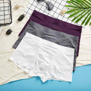 {NT[pc Y ڐG⊴  y  ʋC  V[X tBbg iCn ~hEGXg 3D̐݌v t(x3)