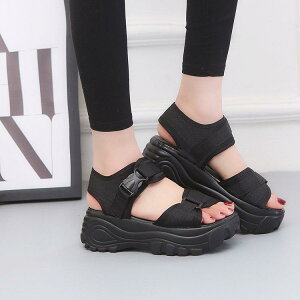 X|[cT_ fB[X  q[Abv }WbNe[v Gif JWA X|[eB EhgD ₷ ʊw w t  