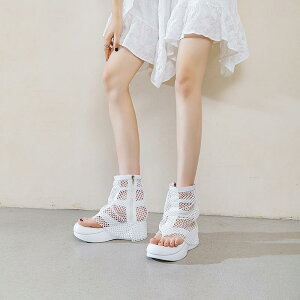 u[cT_ fB[X gO y ʋCQ bV JWA  JbgAEg  TChWbv t  