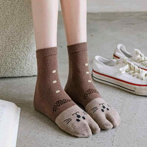 C fB[X L LN^[\bNX ~h 5{w  {w 킢 a Rbgf K ʑΉ ig I[V[Y(x2)