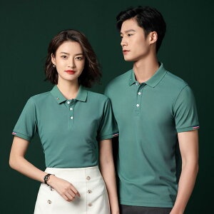 TVc jp z  HX ze Xg JtF Ɩp jtH[  ƒ t ȍ |GXe