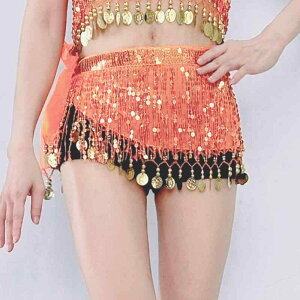 ベリーダンス衣装 インド風 華やか スパンコール フリンジ ウエストチェーン アームスカーフ スカート 舞台発表会 イベント用 シフォン ポリエステル フリーサイズ