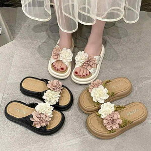 T_ fB[X 킢 ~ y v ԕ Xgbv tFCNU[ r[` ][g Oop fC[ JWAX^C t