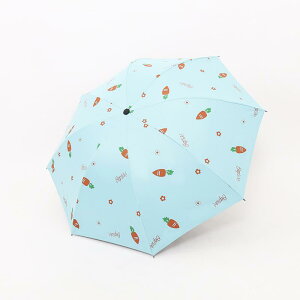 ܂肽ݎP fB[X w Jp RpNg  LN^[ 킢  |W[n ubNR[eBO 8{ J ؍fUC(x2)