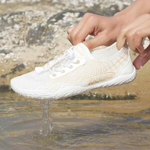 EH[^[V[Y Y fB[X jp  ~ 5{w }X|[c r[` C V ނ k tBbglX AEghA o tďH