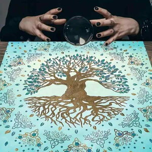 e[uNX ^bgJ[h [fBO}bg ̎ u[ |GXe ` k A CeA  p (x7)