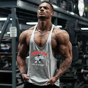 Y X|[c^Ngbv z ʋC Rbg jO g[jO W tBbglX EFA ėp (x2)