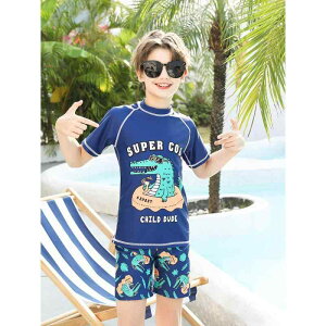  j̎q WjA  UVJbg z Zp[g XCEFA 傫TCY TCY iC |GXe wp XCpc j g[jOZbg