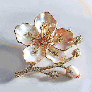 u[` fB[X j[N IWifUC ̉ԃ`[t N[ i   dCbLH `CihX Mtg v[g (x10)