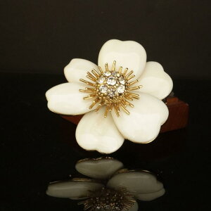 u[` fB[X g  ̃VFt[ {bL i GKg ꂢ  p[eB[ w Ǝ tH[} JWA ʋ ItBX ԃ`[t v