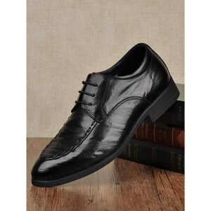 vC Y {v _炩ȗrv |CebhgD _[r[V[Y rWlX tH[} JWA ʋΗp  VYp S Xeb` ؊vC\[  F H~