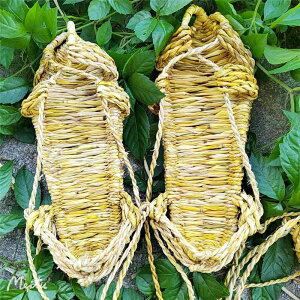 T_ jp ʋC Q ~ ҂ f ҂ݍ [XAbv g Be[W 炶 t ][g r[` AEghA JWA F