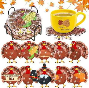 ؐR[X^[ _ChA[gLbg ʒ^ Ӎ DIY  10Zbg v[g H CeA (x2)