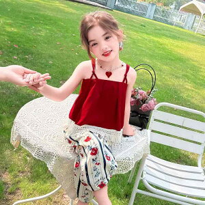 q ̎q ZbgAbv  ؍ L~\[ m[X[u  㕪pc ][gX^C  킢 |GXef