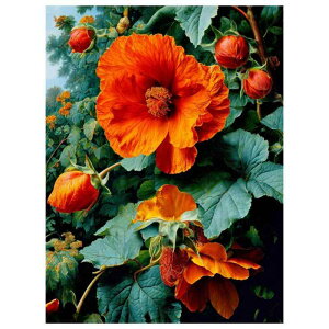 _ChA[g 5D }`bN N₩ ԕ  CeA Ǐ o^C Jbv ی^CXg[ P Sʓ\t DIYLbg