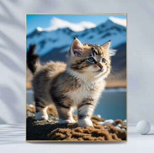 _ChA[g l SҌ 킢 L  5D ۃr[Y tJo[ DIY Lbg t[Ȃ _ Vv rO Q  CeAɂ