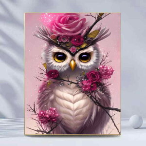 _ChA[g 5D DIY tWRjA Sʓ\t  Lbg t[Ȃ o tNE  i J[gD[ LoXA[g CeA  Ǐ rO Q(x2)