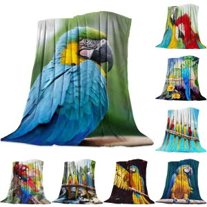 ѕz y _炩 ӂӂ g K tl |GXe IE L[gȓ lGp _ \t@Jo[ xbhJo[ }`Jo[