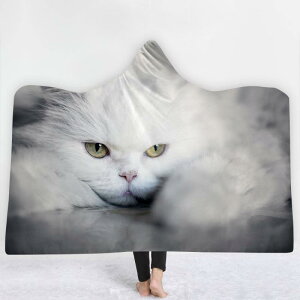 ѕz 唻 t[ht 킢 3DfW^vg |` }CNt@Co[tl   H~p h [EFA Jt