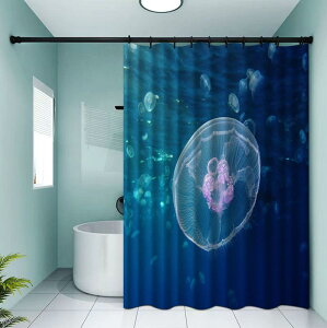 V[J[e h fW^vg NQ |GXe }X^C C oX[  Ԏd؂ ډB y