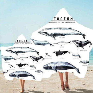  l qp z }CNt@Co[ t[ht  |` oX^I r[` v[ C j Cオ