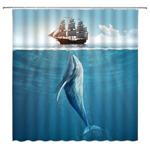 V[J[e hH 掿 fW^vg Cm NW oX[ C  Ԏd؂ ډB  |GXe TCYΉ