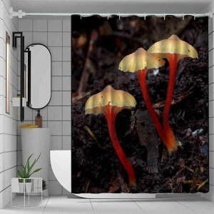 V[J[e h hJr  3DfW^vg |GXe sv G敗 ^E Zbg