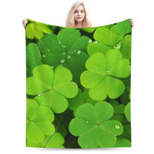 ѕz tl _炩 ӂӂ ΂̗t [t {^jJ xbh \t@ lGʗp I[V[Y |GXe y 􂦂 