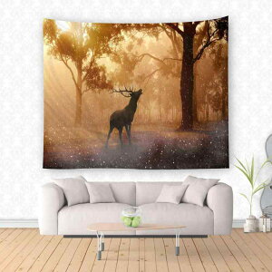 ^yXg[ fW^vg i R Ǌ| EH[fR[V rO Q  z[ |GXe OK pr