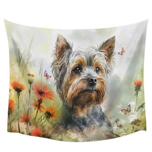 ^yXg[ g {w~A   k Ǌ| EH[fR[V  CeA |GXe rO Q q wiz t@ubN|X^[