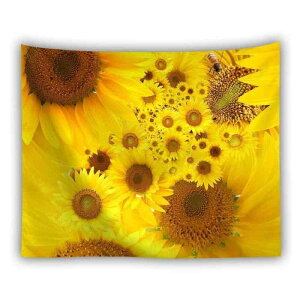 ^yXg[ Ђ܂ Jt Jg[X^C Ǌ| EH[fR[V |GXef i @\ wiz z rO Q  _CjO q