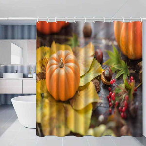 V[J[e h  hJr sv ˂_ oX[  ʏ Eߏ Ԏd؂ ډB hAJ[e p t |GXe