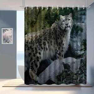 V[J[e h  hJr |GXe 킢 ^ oX[ Ԏd؂ ډB   C jbgoX