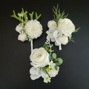 EFfBO   VY Vw O[Y} uCYCh u[gjA RT[W XgRT[W  I 񎟉 p[eB[ i GKg tH[}