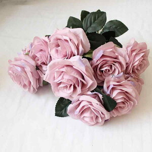  t`[Y o 10{g u[P VNt[ A  sv i CeA  fR[V  rO  45cm S7FΉ 킢 