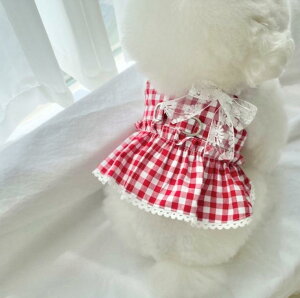 ybgEFA L ̎q ^ ^ t [hΉ n[lX̌^ Rbg `FbN g Jg[ vZXhX U  킢 SNSf