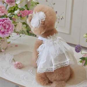  ̎q [X  EFfBO vZX hX ^ ^ S[fgo[ TGh {[_[R[ Č a p[eB[ j Cxg ȍa Rbgu