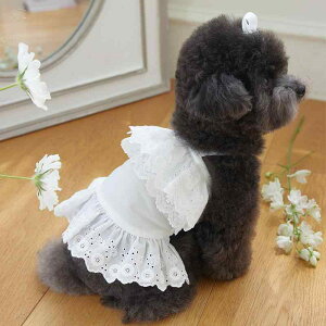  L ̎q ^ ^ t [X t Rbguh ʋC efB gCv[h rVt[[ t`uhbO R[M[ ViEU[ 킢  U 