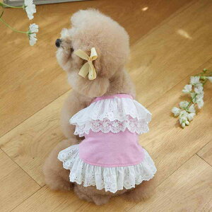 ybgEFA  L ̎q t Rbguh 킢  [X s[X gCv[h rVt[[ t`uhbO R[M[ ViEU[ ^ ^ sN 