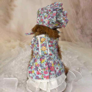  ̎q t ԕs[X Xqt 킢  G̗ǂȍf ʋC ^ ^p U LOBe o^C a NX}X v[gɂ