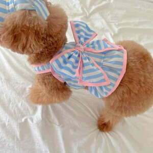 ybg ̎q t XgCv TVc Rbg p Lp 悾ꂩ Zbg gCv[h |jA rVt[[ ^ ^ U