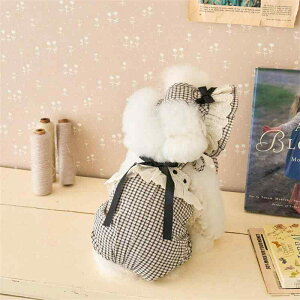  ̎q t ȍf KȒSn p[X { [X `FbN Xqt ueBbVX^C i 킢 ^ ^ U o