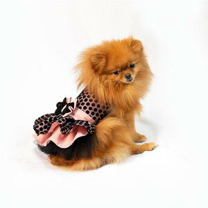 ybgEFA ̎q  Lp vZXhX s[X tH[}  p[eB[ j LO a Cxg ȍf ^ ^p