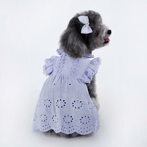  L ̎qp t [X t vZXhX  ȍa  ʋC 킢 ^ ^ Lp U o s[X