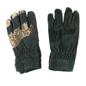  Y ~p h ۉ N  h h ~ XL[ TCNO oCN ] ~^[ ʋ ʊw AEghA X|[c oR