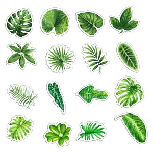 ①Ƀ}Olbg  Nbv A`[t O[[t V̗t Xe {^jJfUC 킢 i` Lb`G  TCY 